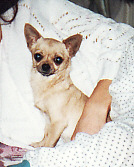 Bony.jpg (15335 bytes)