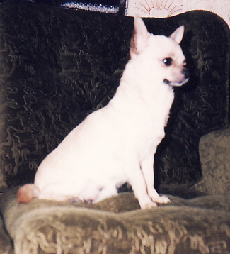 Bony1.jpg (48645 bytes)