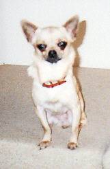 Bony2.jpg (17518 bytes)